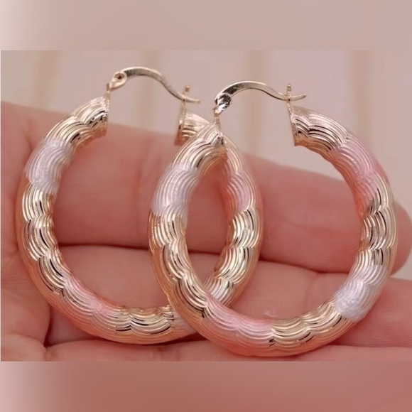 Elegant Tricolor Small Hoop Earrings - Picture 1 of 4
